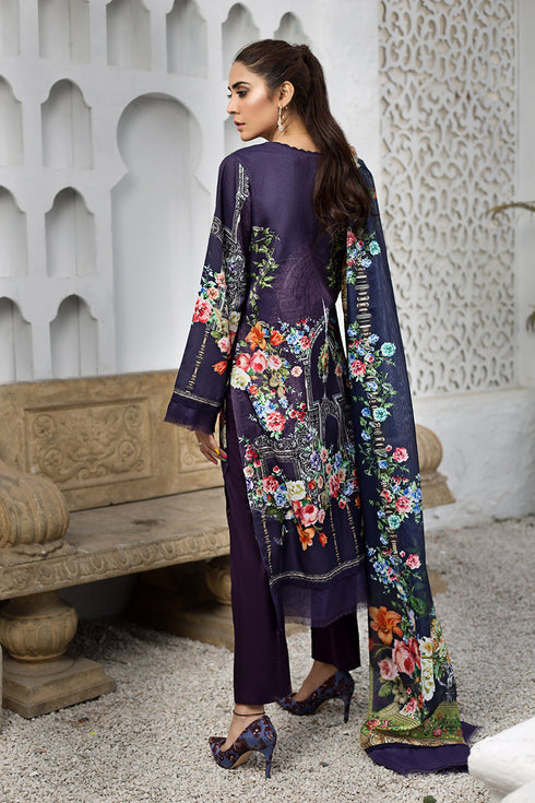 Allium SumairaAurangzeb