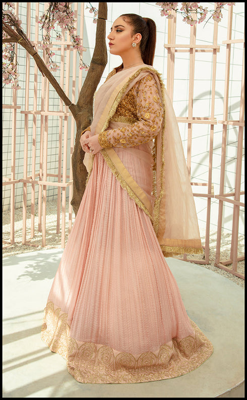 VANESSA Semi Formals